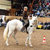 Parelli Tournament Switzerland