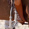 Polo’s Argentine Influence