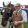 Rare Breed Encounter; Suffolk Punch