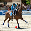 Arena Polo Excitement!