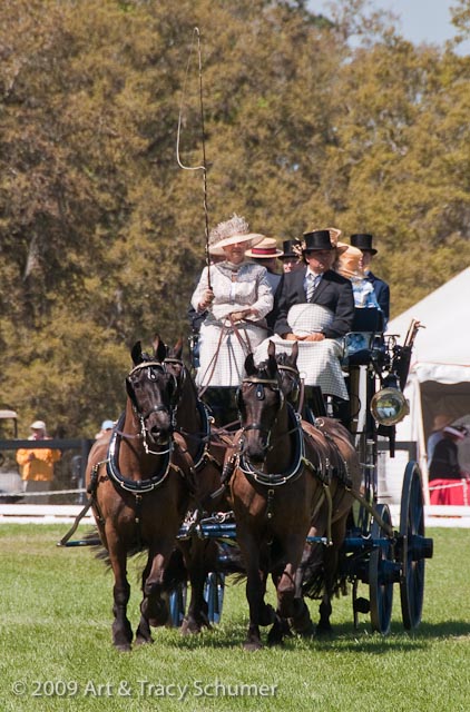 Van Der Wiel Horse Pairs Harness