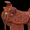 TCAA 2010 "A Saddle Story"