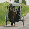 The Amish and the Modern Horseman