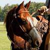 Vaquero Horsemanship Part 3