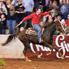 2011 Road to the Horse