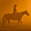 Knowing The Horseman Inside Yourself