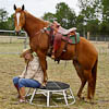 Over Fifty and Still in the Saddle