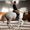 Thinking Dressage with Kyra Kyrklund