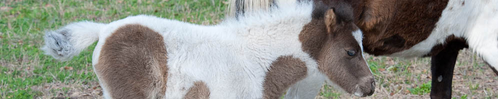 Banner_24