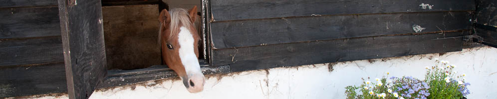 Banner_45